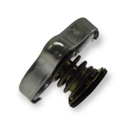 Rotax Kühlerverschluss mit Dichtung 1,2 Bar